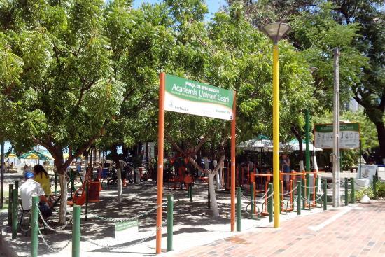 Praca Dos Stressados